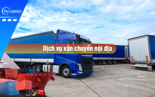 Dich vu van chuyen noi dia 00 Finlogistics https://darkgrey-wildcat-408243.hostingersite.com
